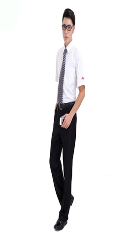 厂家定做夏季短袖男式商务办公工作服西服套装 公司职业装定制 商务西套定做